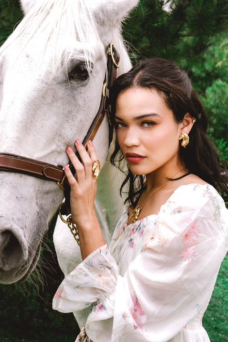 Aretes Caballo