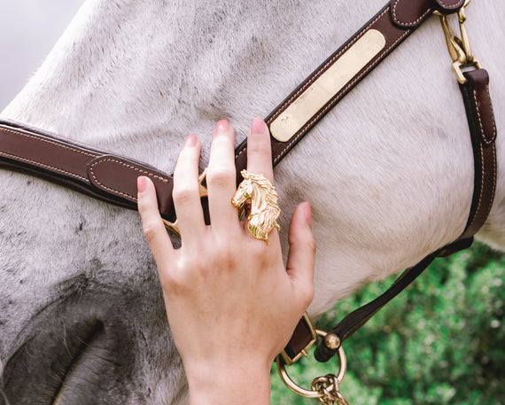 Anillo Caballo