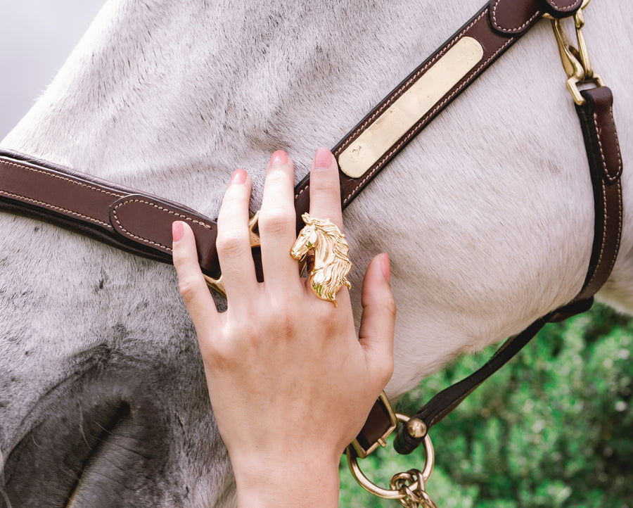 Anillo Caballo