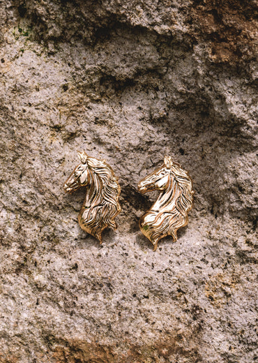 Aretes Caballo