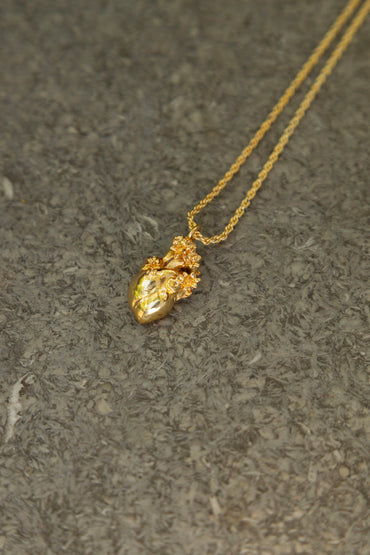 Collar Corazón Anatomico Mini