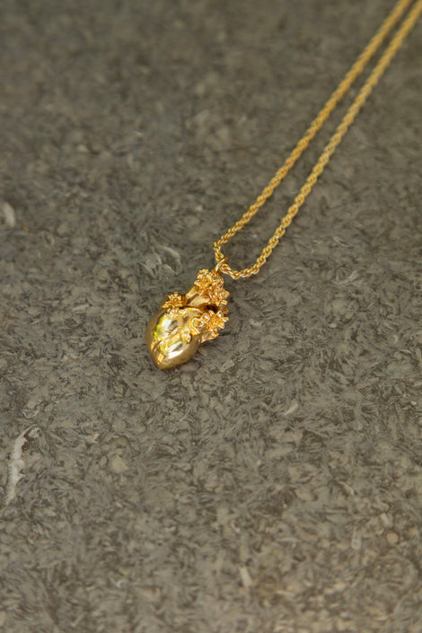 Collar Corazón Anatomico Mini