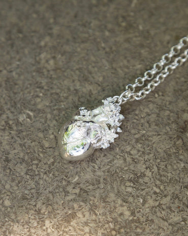 Collar Corazón Anatomico Mini